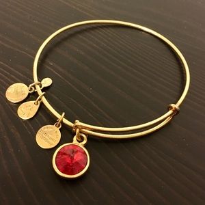 Alex and Ani charm bracelet